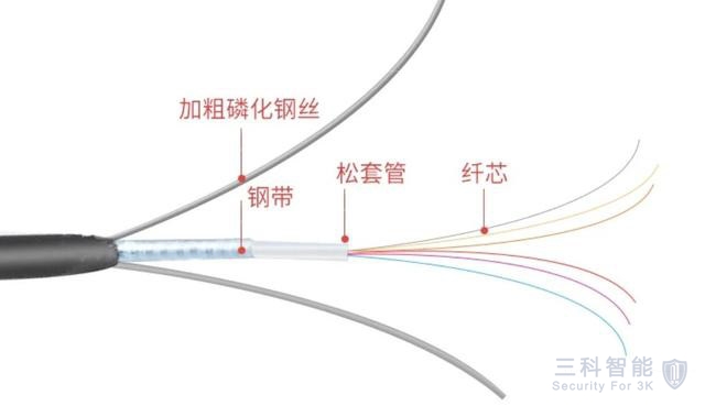 毛片免费在线看光纤
